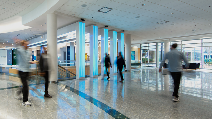 Cox lobby