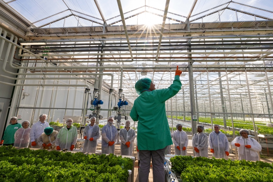a group of people in white coats in a greenhouse