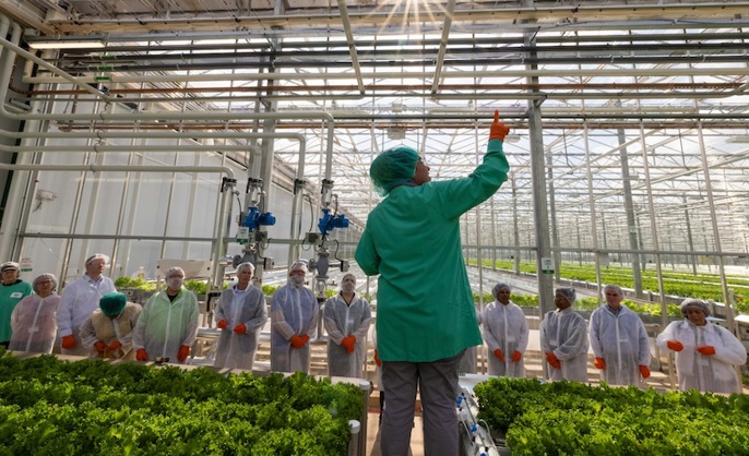 a group of people in white coats in a greenhouse