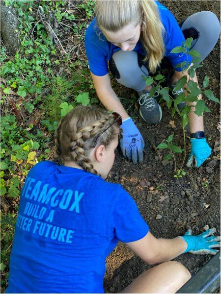 Cox Volunteers gardening