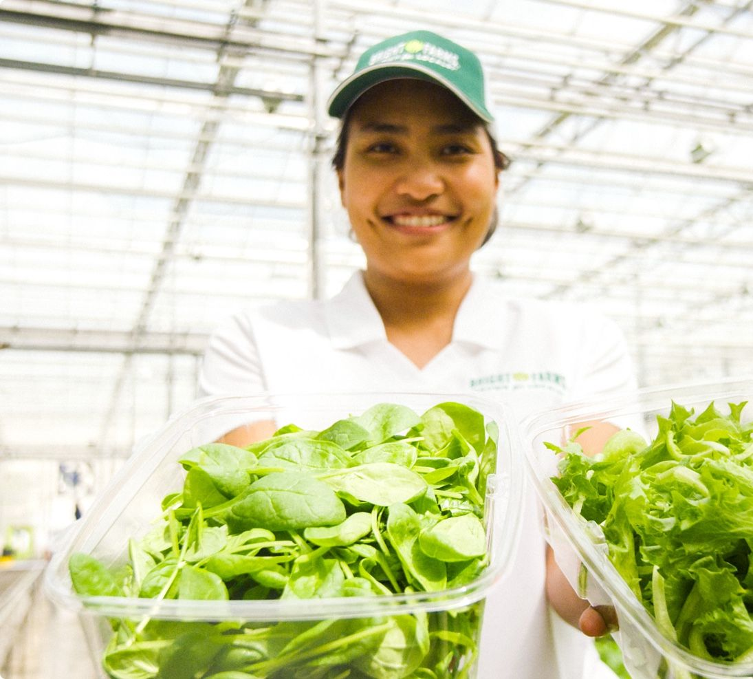 Brightfarms employee holding lettuce