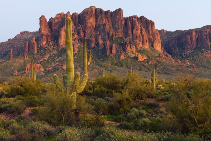 a cactus in a desert with Lost Dutchman State Park in the background